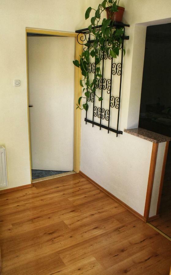 Apartments Vidos Dreznik Grad Exterior photo